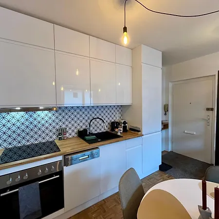 Apartment In Wochen Und Monatsweise Gmunden